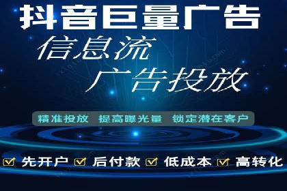 百度广告投放策略与效果评估案例